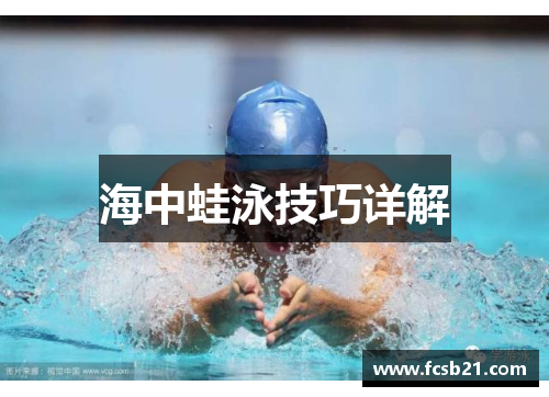 海中蛙泳技巧详解
