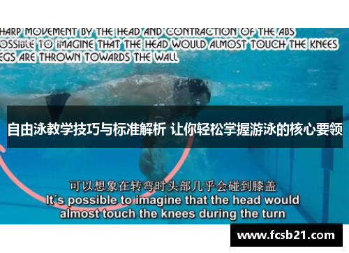 自由泳教学技巧与标准解析 让你轻松掌握游泳的核心要领