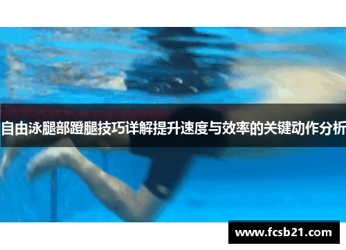 自由泳腿部蹬腿技巧详解提升速度与效率的关键动作分析