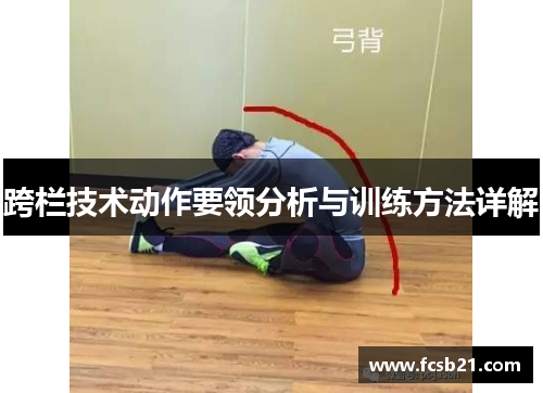 跨栏技术动作要领分析与训练方法详解