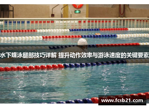水下蝶泳腿部技巧详解 提升动作效率与游泳速度的关键要素