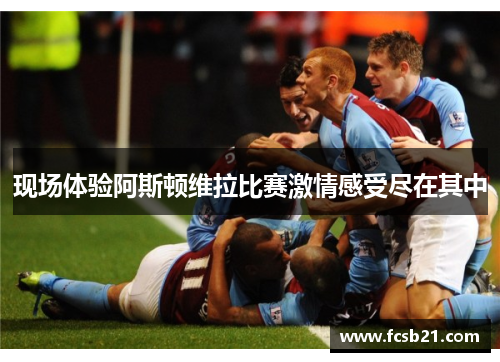 现场体验阿斯顿维拉比赛激情感受尽在其中